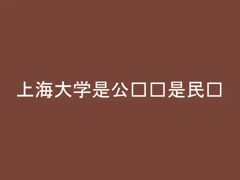 上海大学是公办还是民办