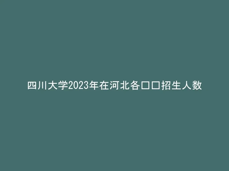 四川大学2023年在河北各专业招生人数