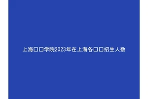 上海兴伟学院2023年在上海各专业招生人数