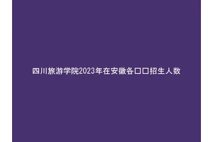 四川旅游学院2023年在安徽各专业招生人数