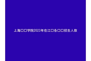 上海兴伟学院2023年在江苏各专业招生人数