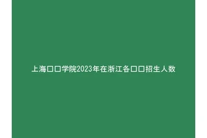 上海兴伟学院2023年在浙江各专业招生人数