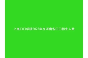 上海兴伟学院2023年在河南各专业招生人数