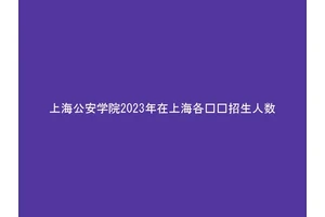 上海公安学院2023年在上海各专业招生人数