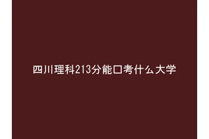四川理科213分能报考什么大学