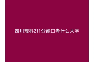 四川理科211分能报考什么大学