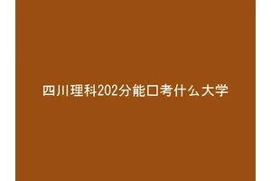 四川理科202分能报考什么大学